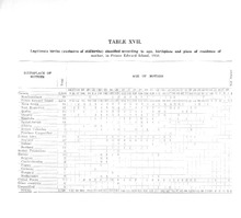 22381_OBJ-Thumbnail Image.jpg