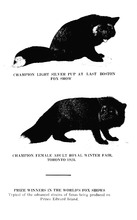 22459_OBJ-Thumbnail Image.jpg