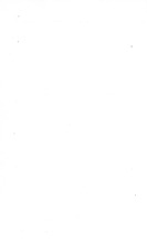 22465_OBJ-Thumbnail Image.jpg