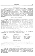 22468_OBJ-Thumbnail Image.jpg