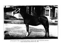 22540_OBJ-Thumbnail Image.jpg
