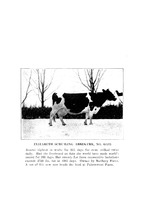 22614_OBJ-Thumbnail Image.jpg