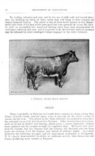 22816_OBJ-Thumbnail Image.jpg