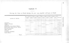 22890_OBJ-Thumbnail Image.jpg