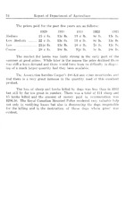 22983_OBJ-Thumbnail Image.jpg
