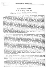 22986_OBJ-Thumbnail Image.jpg