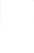 23167_OBJ-Thumbnail Image.jpg