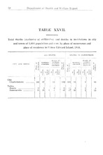 23205_OBJ-Thumbnail Image.jpg