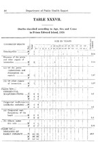 23327_OBJ-Thumbnail Image.jpg