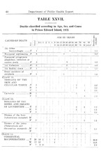 23334_OBJ-Thumbnail Image.jpg