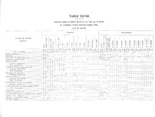 23503_OBJ-Thumbnail Image.jpg