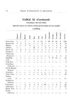 23625_OBJ-Thumbnail Image.jpg