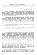 23681_OBJ-Thumbnail Image.jpg