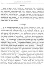 23838_OBJ-Thumbnail Image.jpg