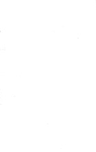 2391_OBJ-Thumbnail Image.jpg