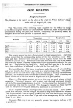 23923_OBJ-Thumbnail Image.jpg