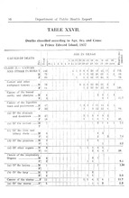 23984_OBJ-Thumbnail Image.jpg
