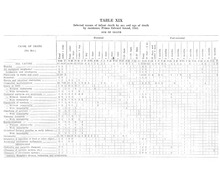 24017_OBJ-Thumbnail Image.jpg