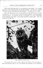 24023_OBJ-Thumbnail Image.jpg