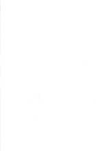 24024_OBJ-Thumbnail Image.jpg