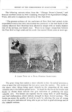 2427_OBJ-Thumbnail Image.jpg