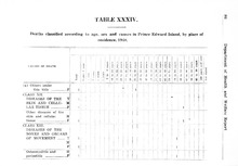 24387_OBJ-Thumbnail Image.jpg