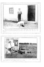 24434_OBJ-Thumbnail Image.jpg