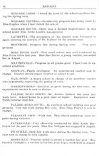 24482_OBJ-Thumbnail Image.jpg