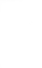 24539_OBJ-Thumbnail Image.jpg