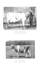 24596_OBJ-Thumbnail Image.jpg