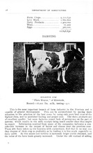 24647_OBJ-Thumbnail Image.jpg