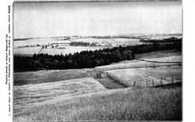 24653_OBJ-Thumbnail Image.jpg