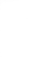 24745_OBJ-Thumbnail Image.jpg