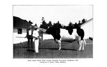 24764_OBJ-Thumbnail Image.jpg