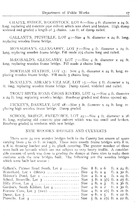 24793_OBJ-Thumbnail Image.jpg