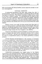 24811_OBJ-Thumbnail Image.jpg