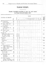 24825_OBJ-Thumbnail Image.jpg