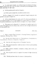 24911_OBJ-Thumbnail Image.jpg