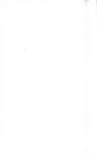 24949_OBJ-Thumbnail Image.jpg