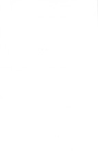 24970_OBJ-Thumbnail Image.jpg
