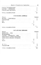 24975_OBJ-Thumbnail Image.jpg
