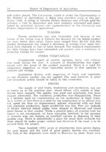 2506_OBJ-Thumbnail Image.jpg