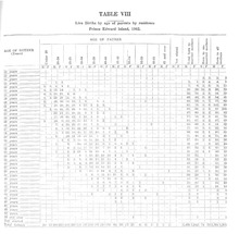25071_OBJ-Thumbnail Image.jpg