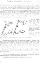 25108_OBJ-Thumbnail Image.jpg