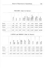 25169_OBJ-Thumbnail Image.jpg