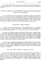 25206_OBJ-Thumbnail Image.jpg