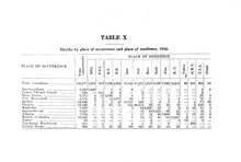 25244_OBJ-Thumbnail Image.jpg