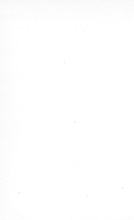 25289_OBJ-Thumbnail Image.jpg