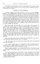 25335_OBJ-Thumbnail Image.jpg