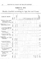 25357_OBJ-Thumbnail Image.jpg